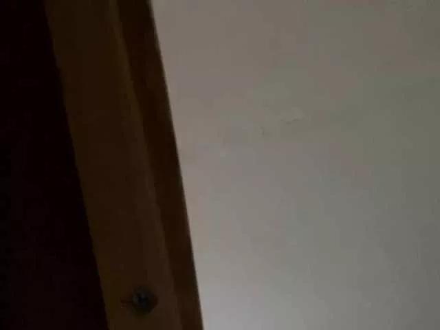karrri69 on BongaCams 