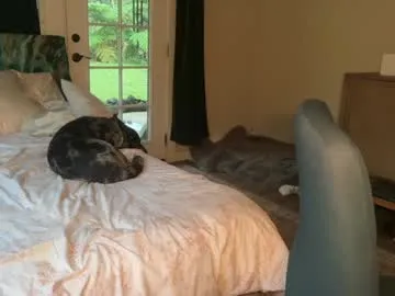 kaileeshy — CrazyTicket: Show in progress. watch me orgasm . Tip 99 tokens to buy a ticket